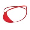 ZOQQ men cotton lycra red G-string panty - Image 5